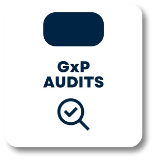 GxP Audits Checkbox